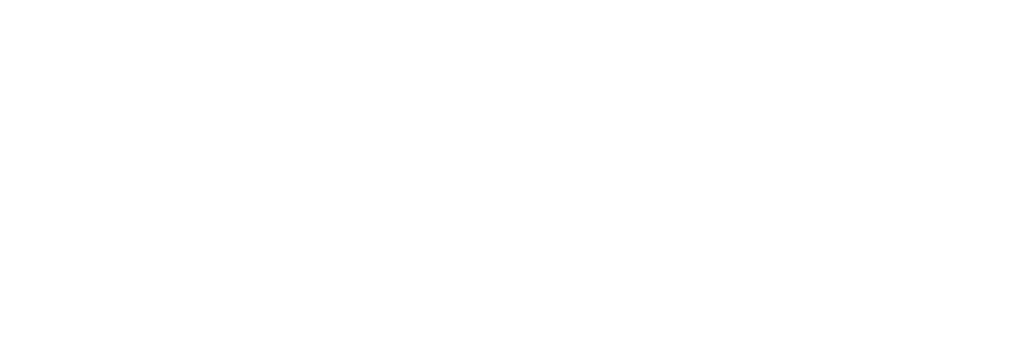 Driver Watchdog