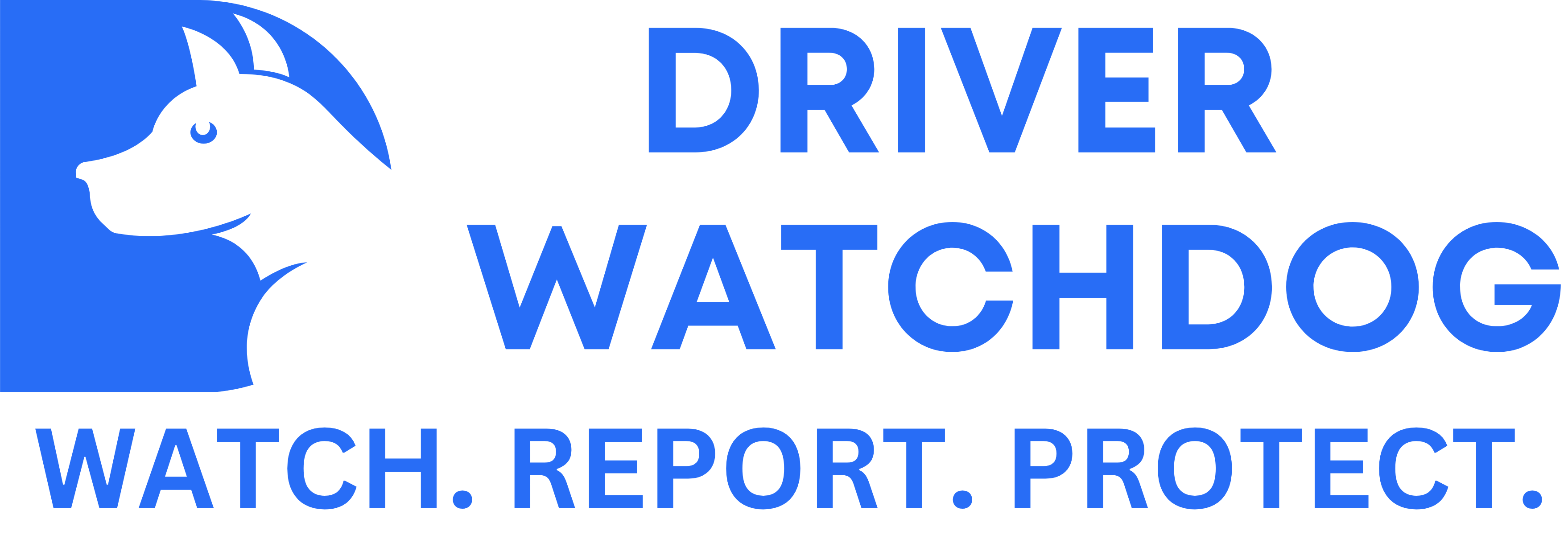 Driver Watchdog